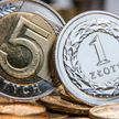 Polska sprzedała dług w formie pięcio- i siedmioletnich obligacji o łącznej wartości 4,8 mld zł.