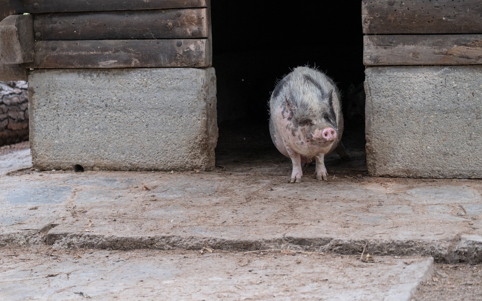 Chcesz się wyprowadzić z miasta? Rząd planuje specjalne przepisy