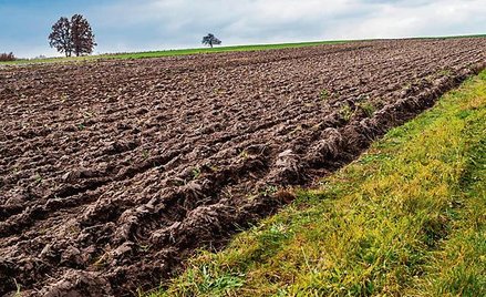 Agencja Nieruchomości Rolnych może sprzedawać nieruchomości rolne o powierzchni do 2 ha.