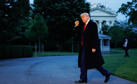 Na kryptomonecie Trumpa można było stracić niemal wszystko