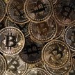 Nie tylko bitcoin, XBT zagra całym cyfrowym koszem