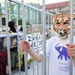 Przeciwko zwierzętom w cyrku. Protest w Szczecinie