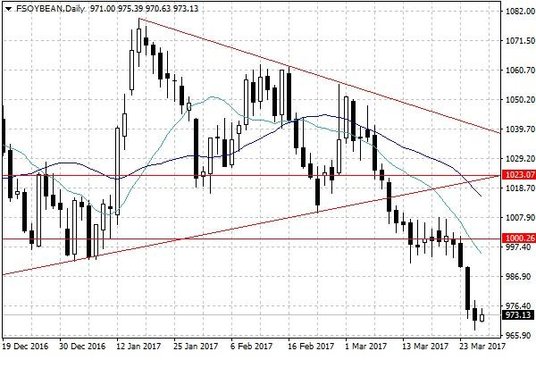 Notowania soi w USA – dane dzienne