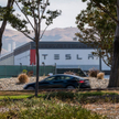 Tesla najniebezpieczniejszą spółką na Wall Street