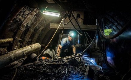 Lubelska niecka węglowa ma ogromny potencjał. Szacuje się, że zalega tu 10,8 mld ton węgla, co stano