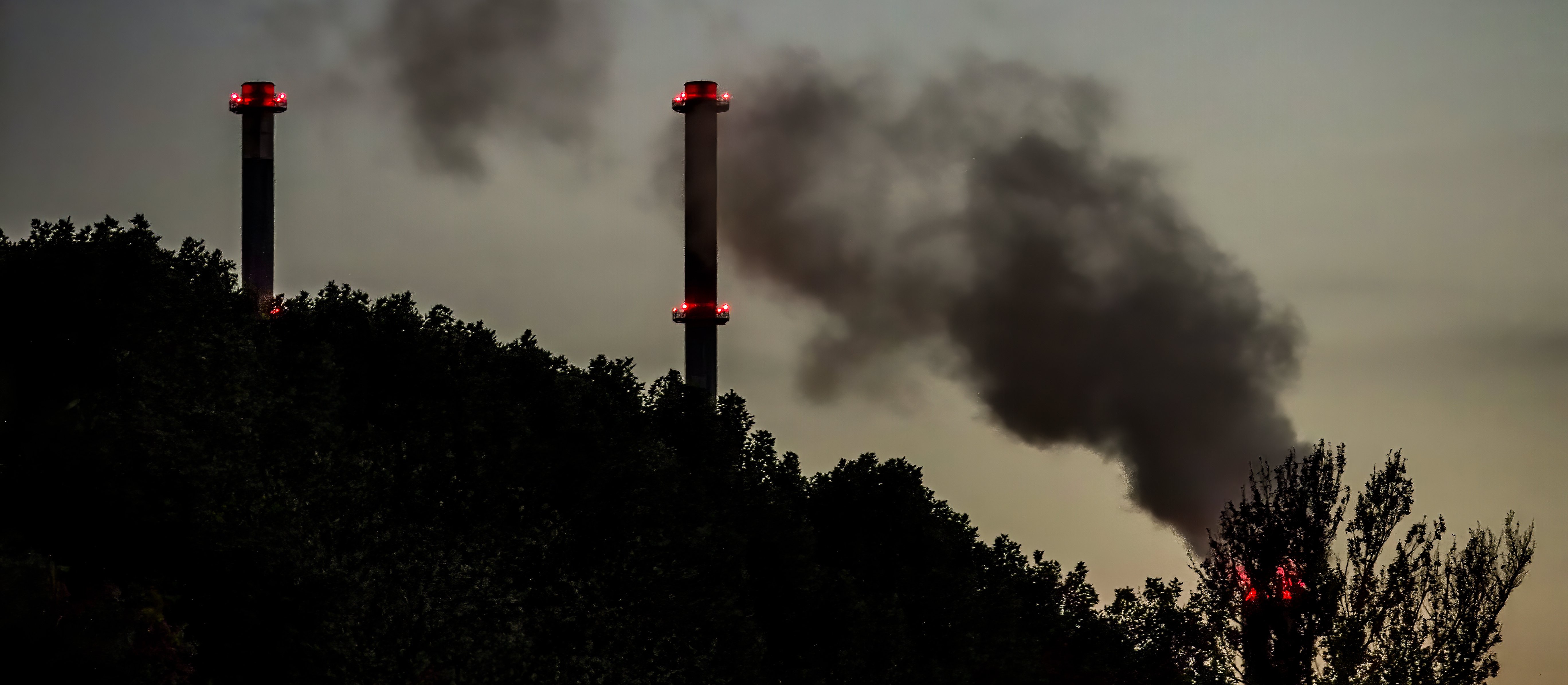 Zmiany w prawie ochrony środowiska. Co czeka przemysł i fermy zwierząt?