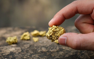Pod Nowym Jorkiem leży rekordowo dużo złota