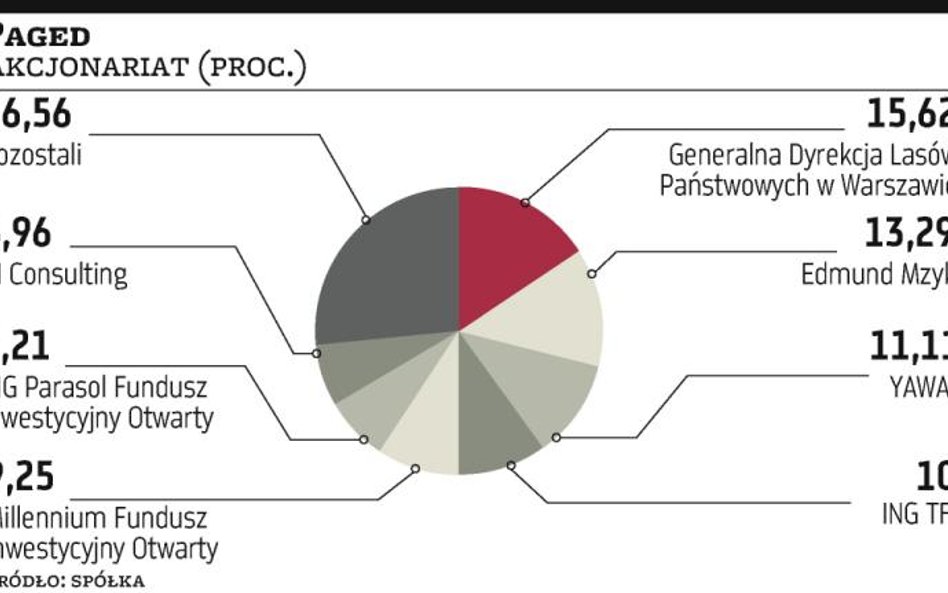 Paged robi emisję, by uzyskać kontrolę nad firmą DTP