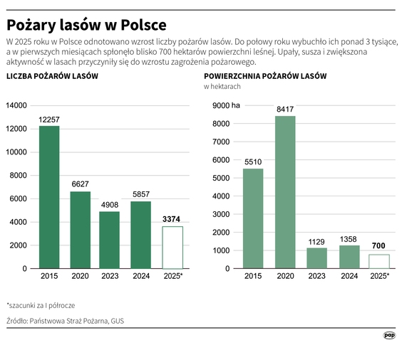 Pożary lasów w Polsce