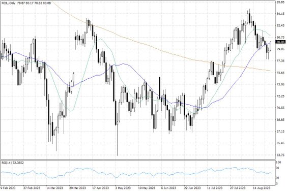 Notowania ropy naftowej WTI – dane dzienne