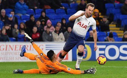 Harry Kane strzelił gola każdemu zespołowi Premier League