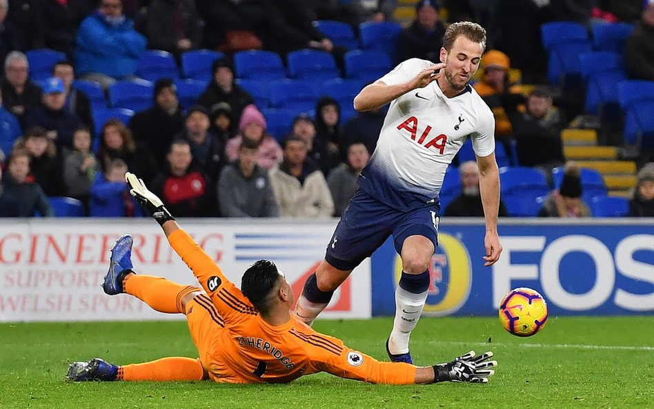 Harry Kane strzelił gola każdemu zespołowi Premier League