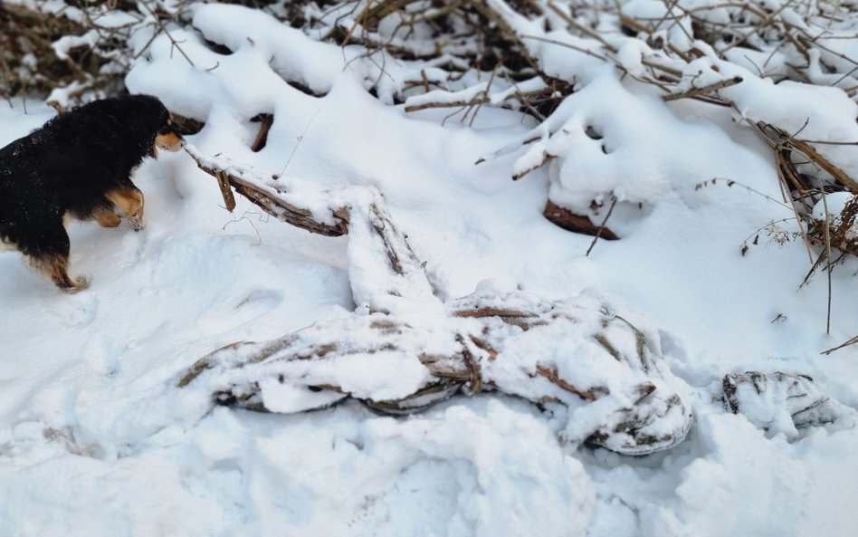 Rzeźba z Parku Fosa po ataku wandali