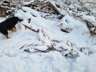 Rzeźba z Parku Fosa po ataku wandali