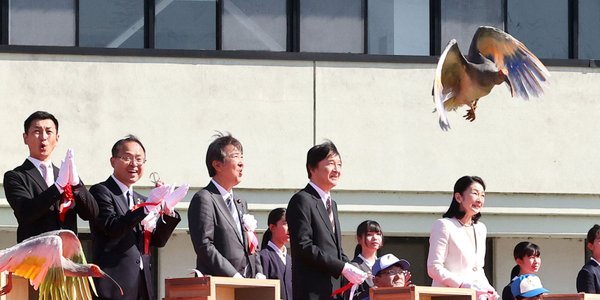 Japonia: Ibisy wyginęły, a teraz powrócą. Niezwykła uroczystość