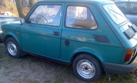 Maluch wystawiony na aukcję przez posła PSL Johna Godsona