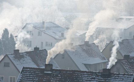 Nowy Sącz nie mógł zakazać palenia węglem w piecach - wyrok WSA