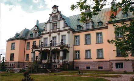Na Opolszczyźnie w gminie Pakosławice do kupienia jest Pałac Frączów za 25 mln zł.