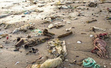 Najwięcej plastiku opada na dno lub leży na plażach