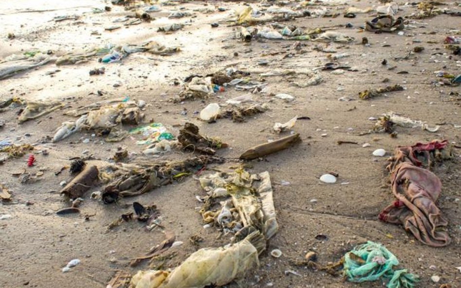 Najwięcej plastiku opada na dno lub leży na plażach