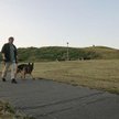 Czy muszę tolerować obcych i ich psy na terenie należącym do wspólnoty?