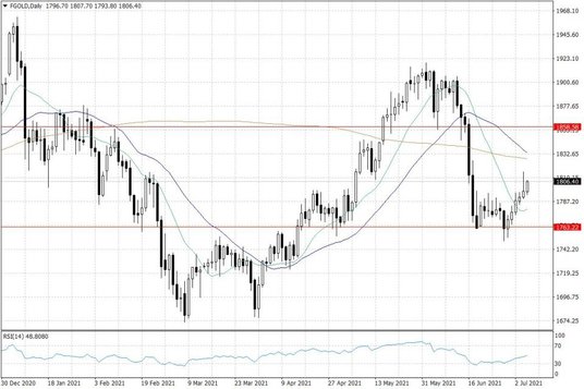Notowania złota – dane dzienne