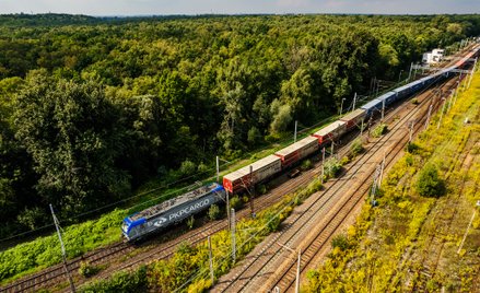 Rycerski: Transakcje na akcjach PKP Cargo S.A. Czy prezes spółki wszystko może?