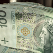 Złoty wyceni postawę RPP