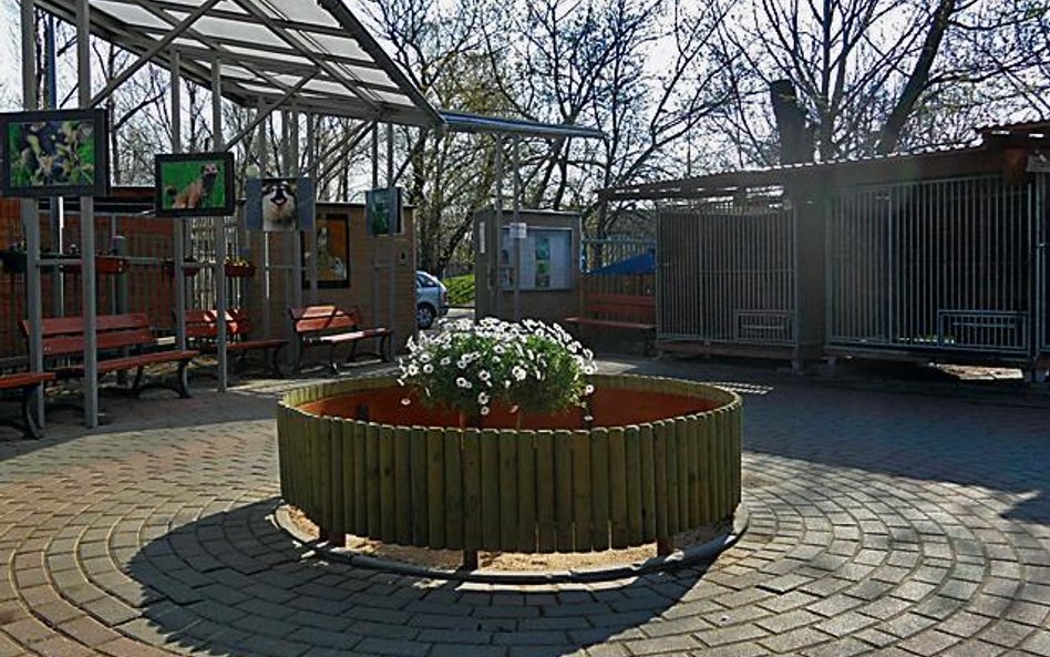 Schronisko na Paluchu zyskuje przyjazny wizerunek