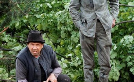 Rozmowy przy wycinaniu lasu Tyma w Teatrze Telewizji