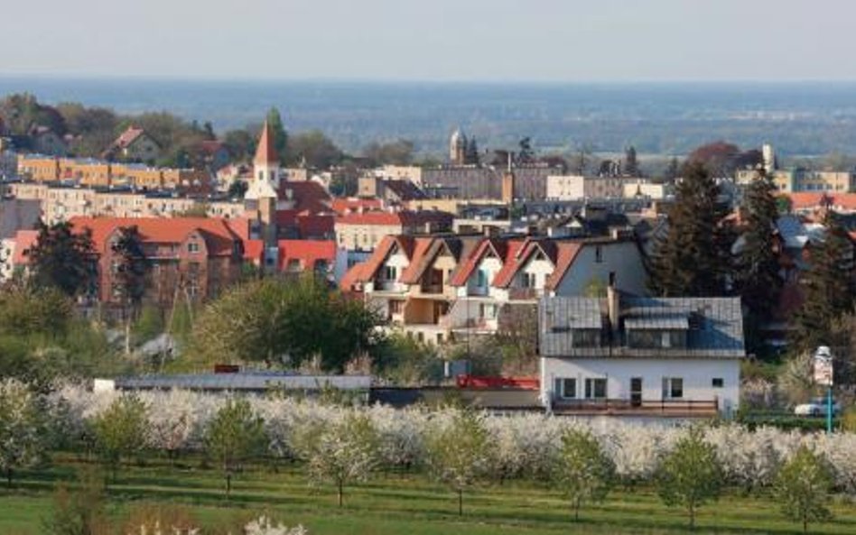 Najcennieszym zabytkiem Trzebnicy jest Międzynarodowe Sanktuarium św Jadwigi