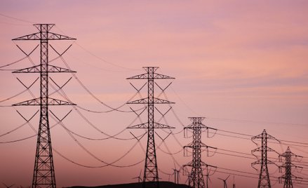 Szybki wzrost popytu