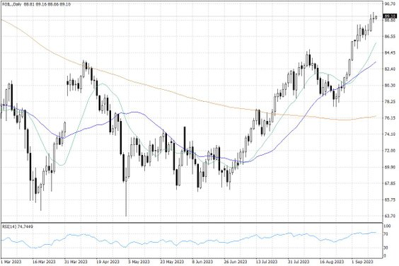 Notowania ropy naftowej WTI – dane dzienne