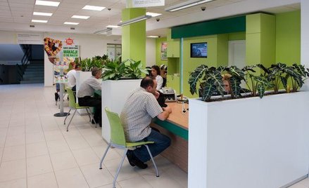 Największe zaufanie mamy do PKO BP, BOŚ, Pekao i Banku Zachodniego WBK (na zdjęciu). Mimo że dwa ost