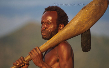 Topór kamienny, nieodzowne narzędzie Papuasa
