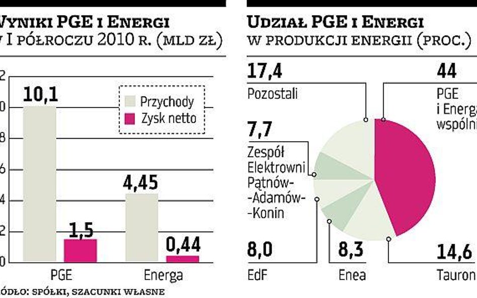 PGE daje 7,53 mld zł za 84,2 proc. Energi