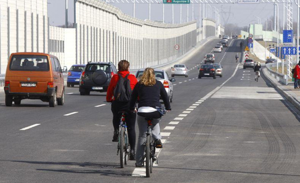 W 2017 r. na drogach zginęło 220 rowerzystów w 4,2 tys. wypadków. Przyczynili się do 1,5 tys. wypadk
