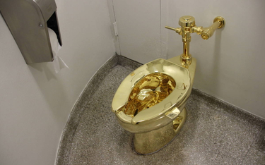 Sedes z 18-karatowego złota był w pełni funkcjonującą toaletą. Zainstalowano go w pałacu Blenheim w 