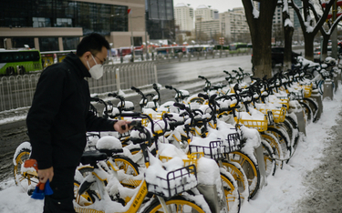 Mieszkaniec Pekinu próbuje skorzystać z przysypanych śniegiem rowerów miejskich.