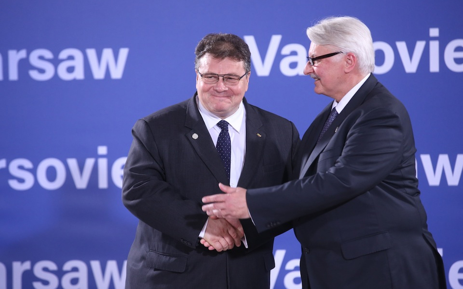 Linkevičius: Nadejdzie czas dalszego rozszerzenia NATO na Wschód