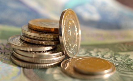 Złoty: korekta po umocnieniu