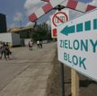 Rośnie rola biomasy
