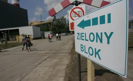 Rośnie rola biomasy