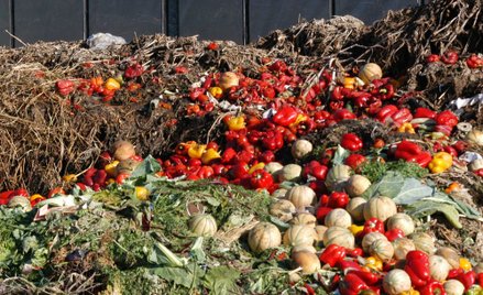 CIT a utylizacja towarów: spółka rozliczy straty w środkach obrotowych