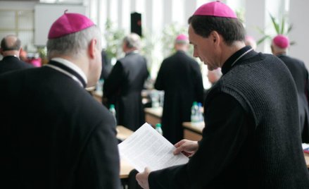 Czy biskupi faktycznie za słabo biją się w piersi?