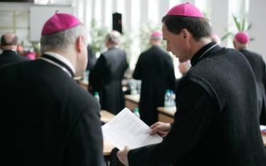 Czy biskupi faktycznie za słabo biją się w piersi?