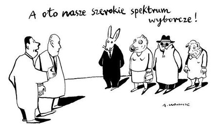 Komentarz rysunkowy. Spektrum wyborcze