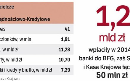 Dziesięć kas realizuje programy naprawcze