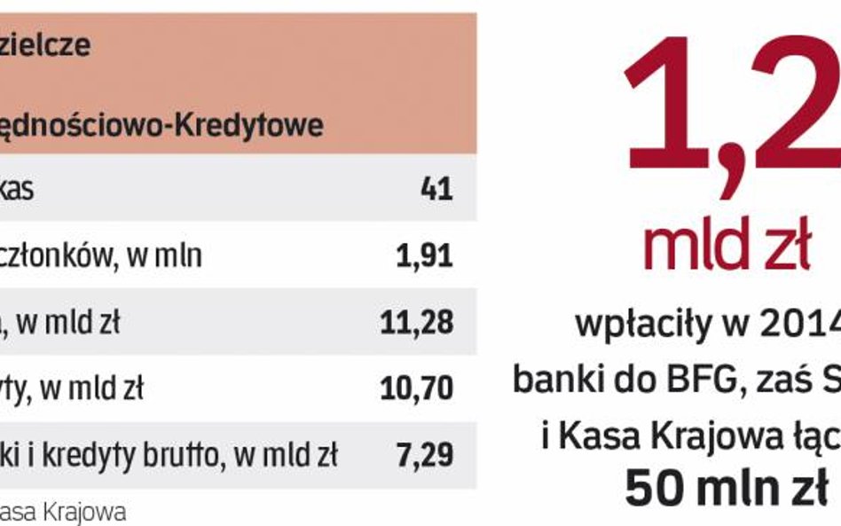 Dziesięć kas realizuje programy naprawcze