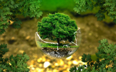 Ranking Samorządów 2020: Ekologia to inwestycja w przyszłość